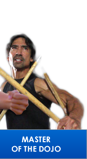 Master of
              the Dojo